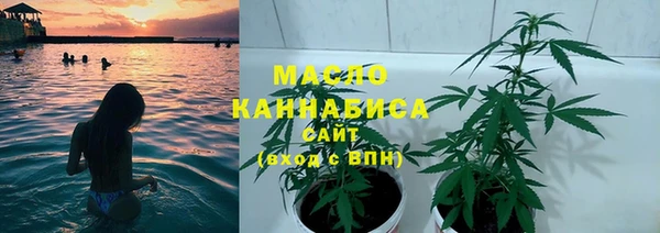 прущий лед Бородино