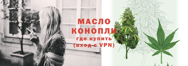 прущий лед Бородино