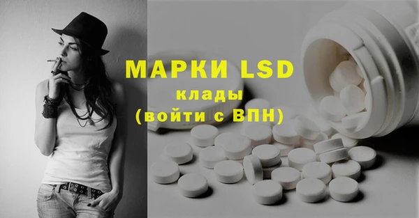 прущий лед Бородино