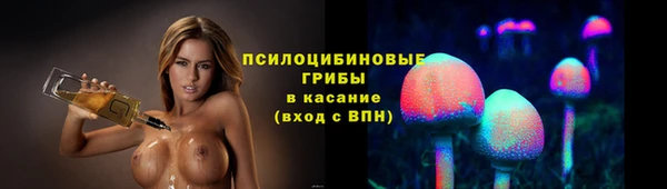 прущий лед Бородино