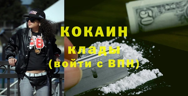 прущий лед Бородино
