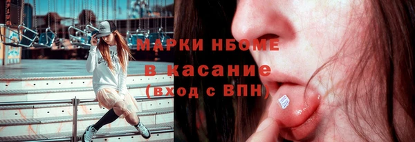 прущий лед Бородино