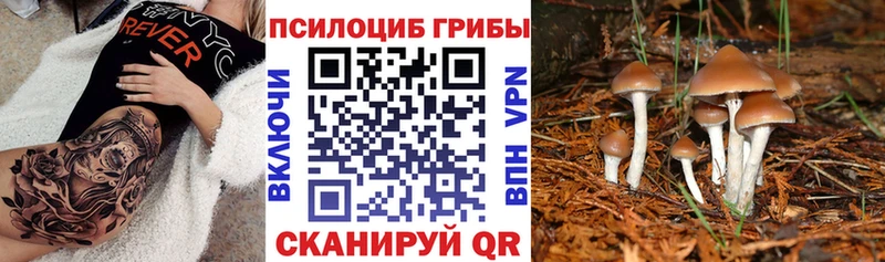 Псилоцибиновые грибы Magic Shrooms Кинешма
