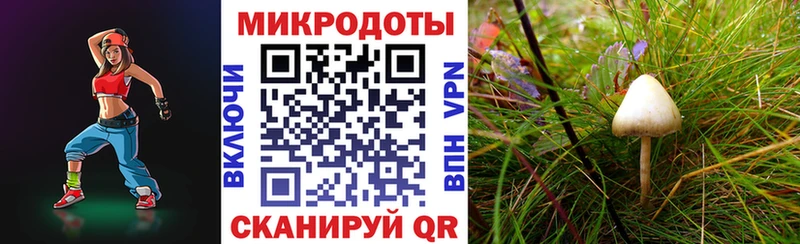 Псилоцибиновые грибы мицелий  где купить наркотик  Кинешма 